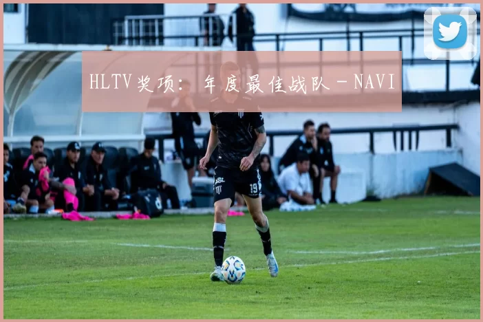 HLTV奖项：年度最佳战队 - NAVI