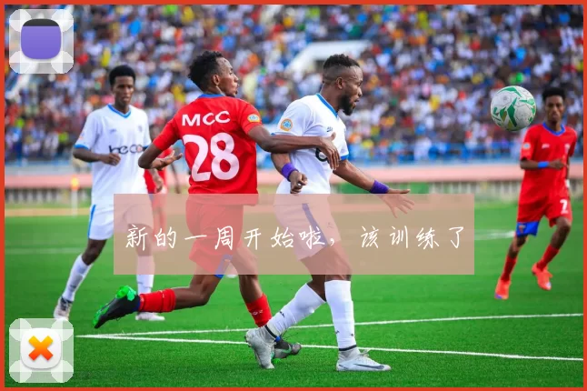 新的一周开始啦，该训练了