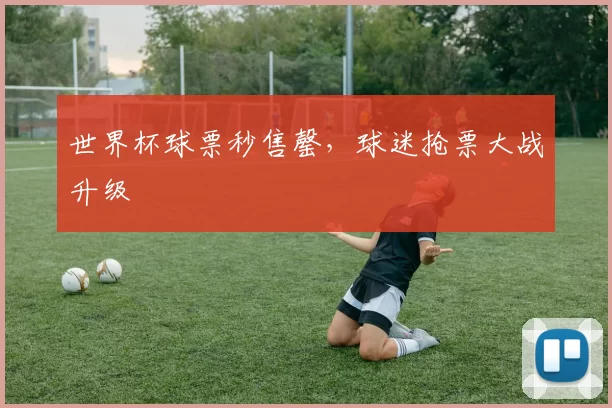 世界杯球票秒售罄，球迷抢票大战升级