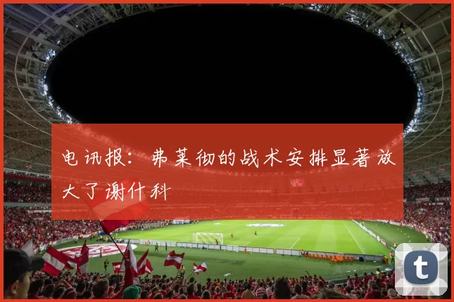 电讯报：弗莱彻的战术安排显著放大了谢什科