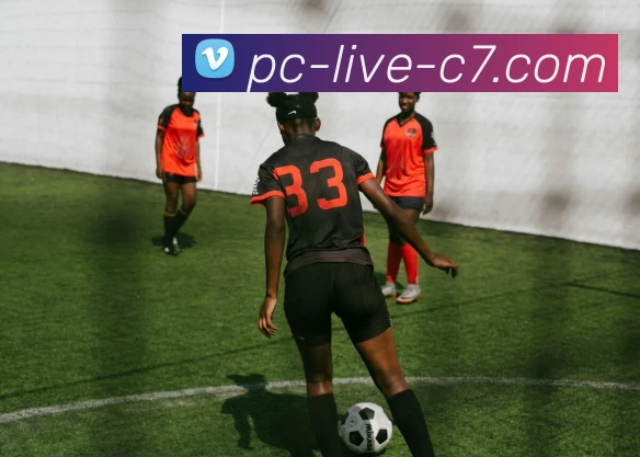 C7娱乐发展历程